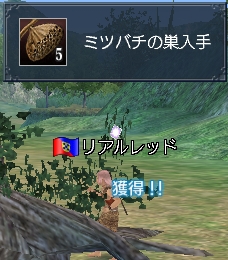 ミツバチの巣