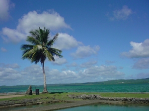 p1.jpg