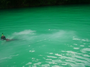 p15.jpg