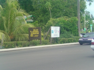 p20.jpg