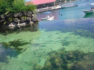 p5.jpg