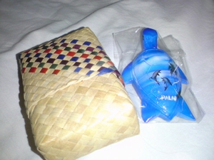p65.jpg