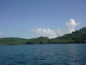 p8.jpg